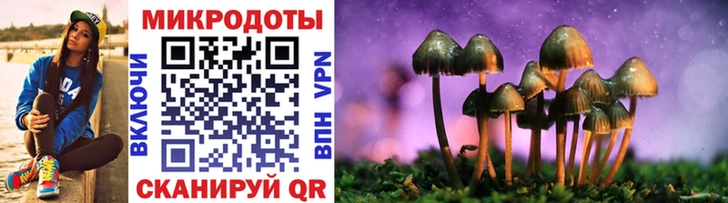 Галлюциногенные грибы Cubensis  Знаменск 