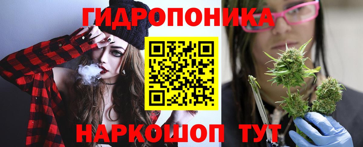 Бошки Шишки Bruce Banner  Вход с VPN  Знаменск  Конопля планчик  Марихуана THC 21% 